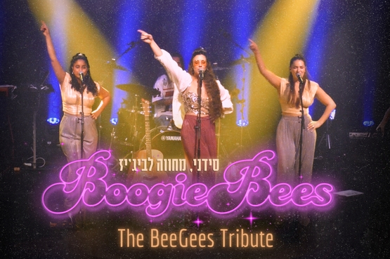 תמונת מופע: ערים מרתקות מס' 2- סידני -מחווה לביג'יז